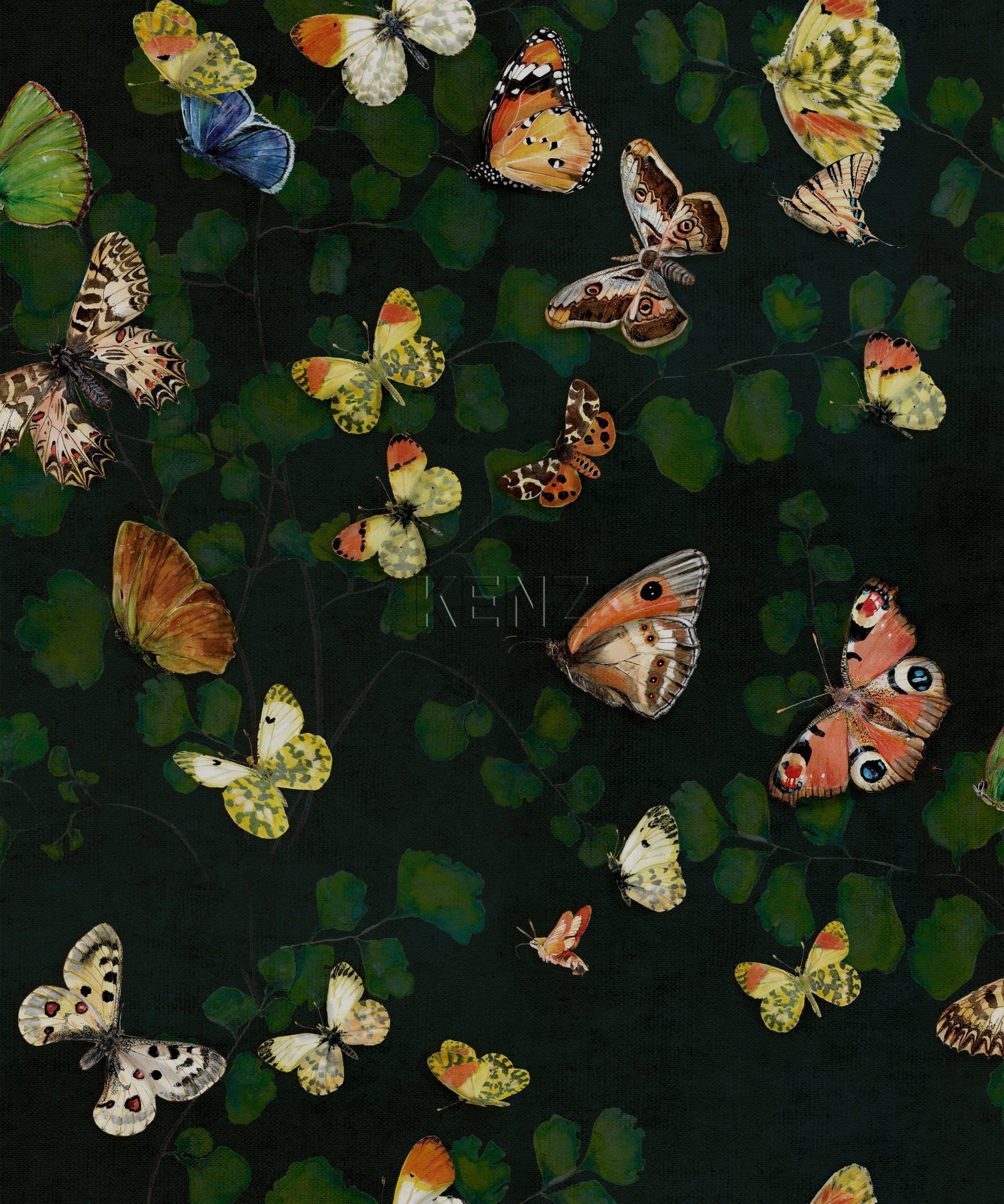 Magic butterflies Night
