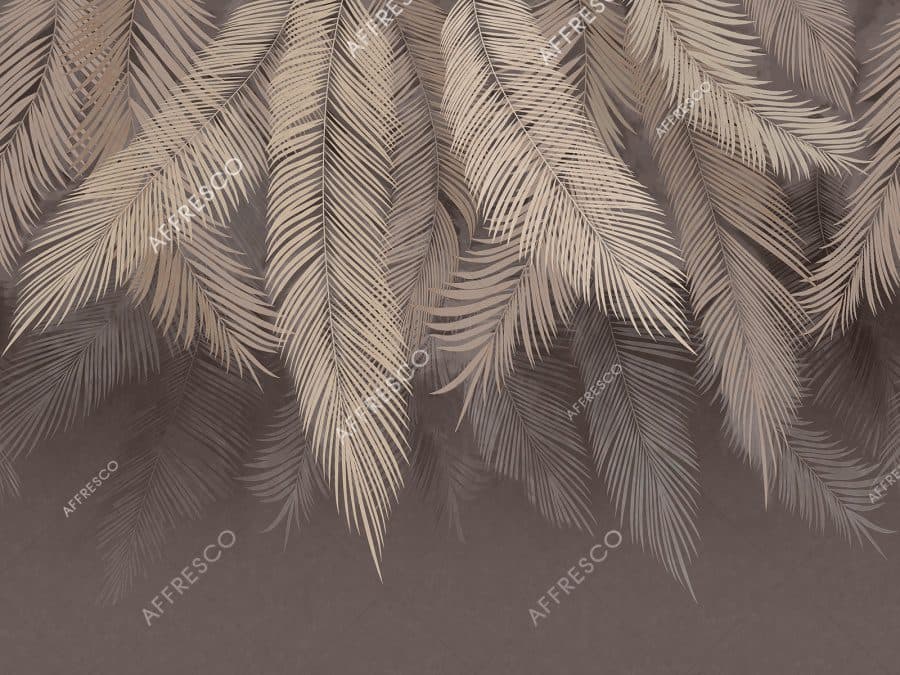 AB477-COL2