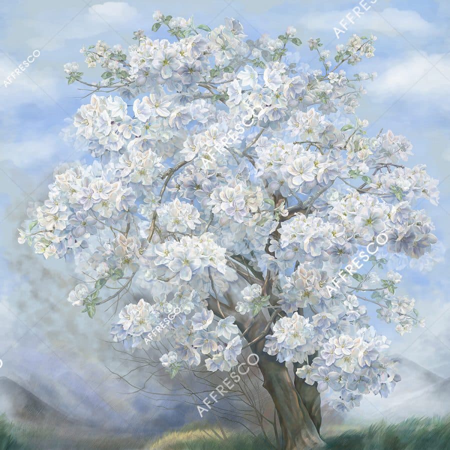 AK476-COL1