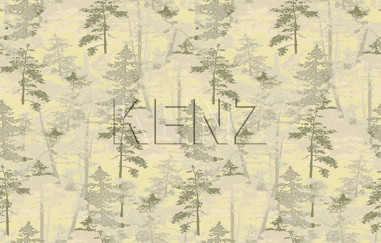 005, Am 2
