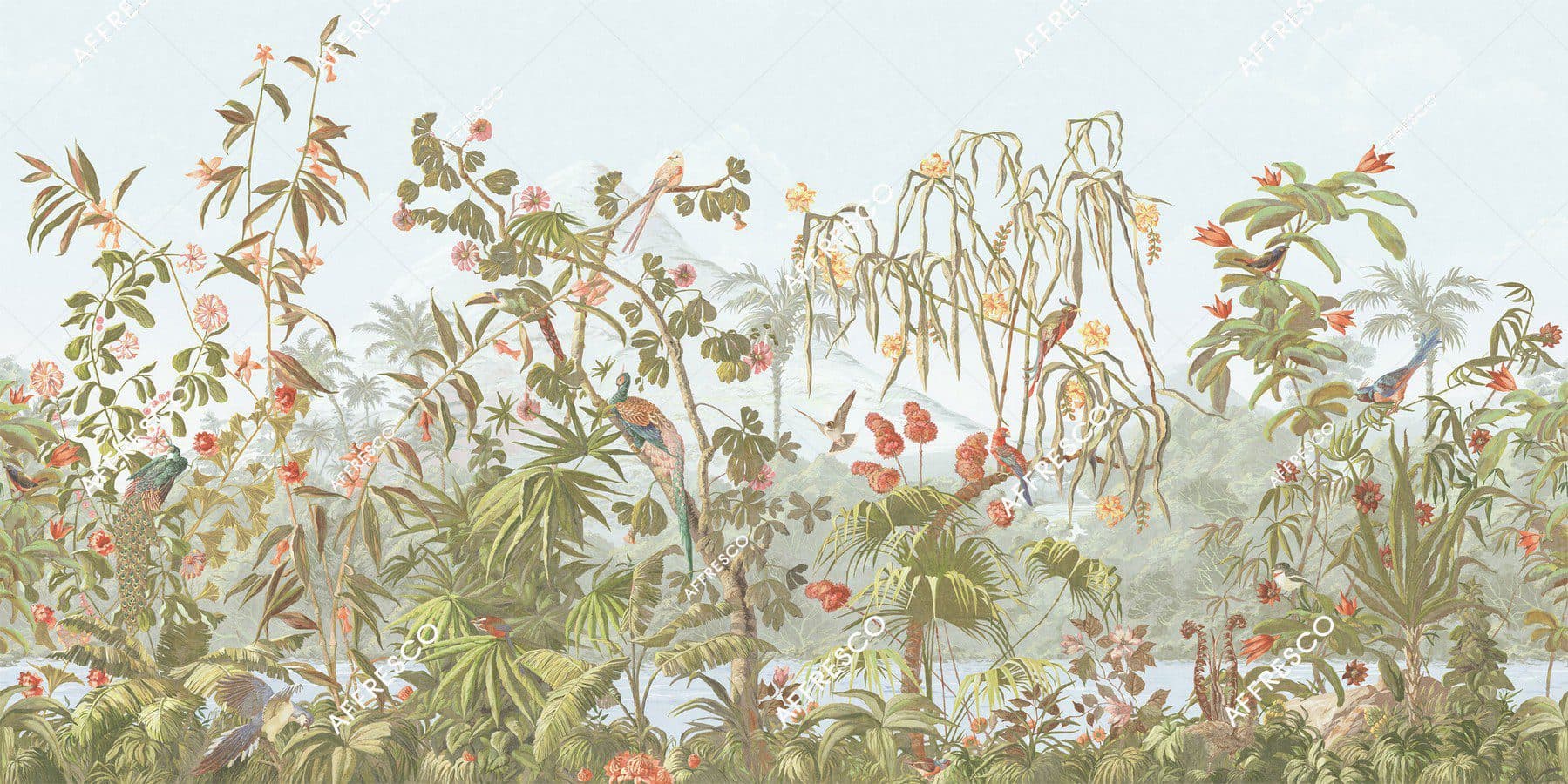 Eden Color 2