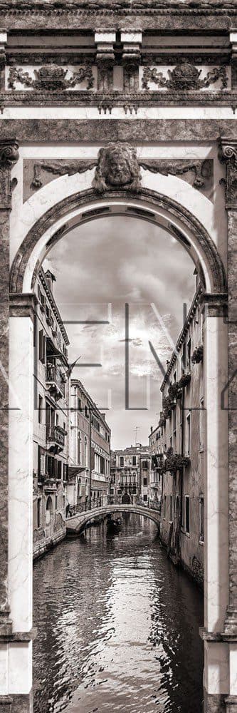 DF 009