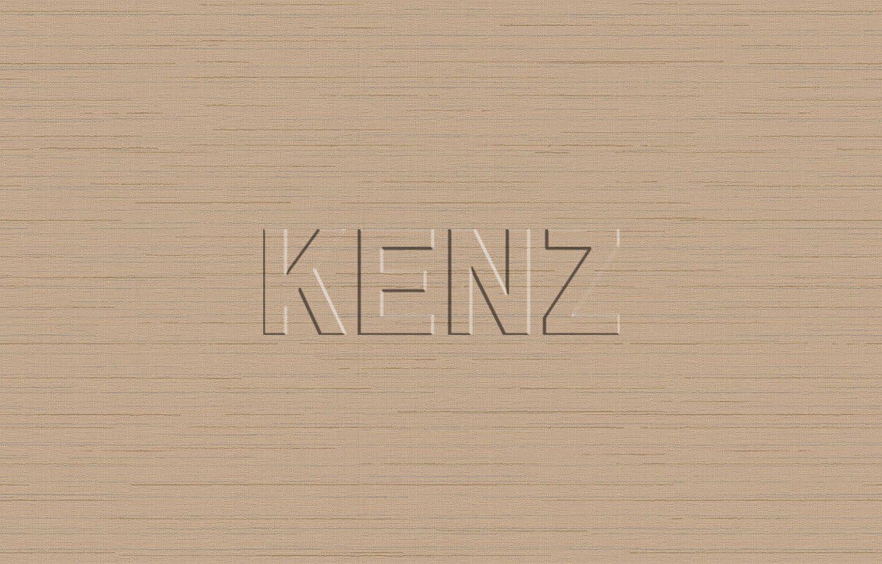 002/1, Ins9