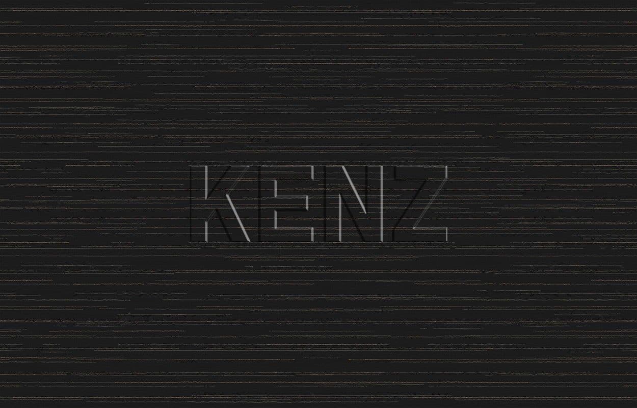 011, Ins9