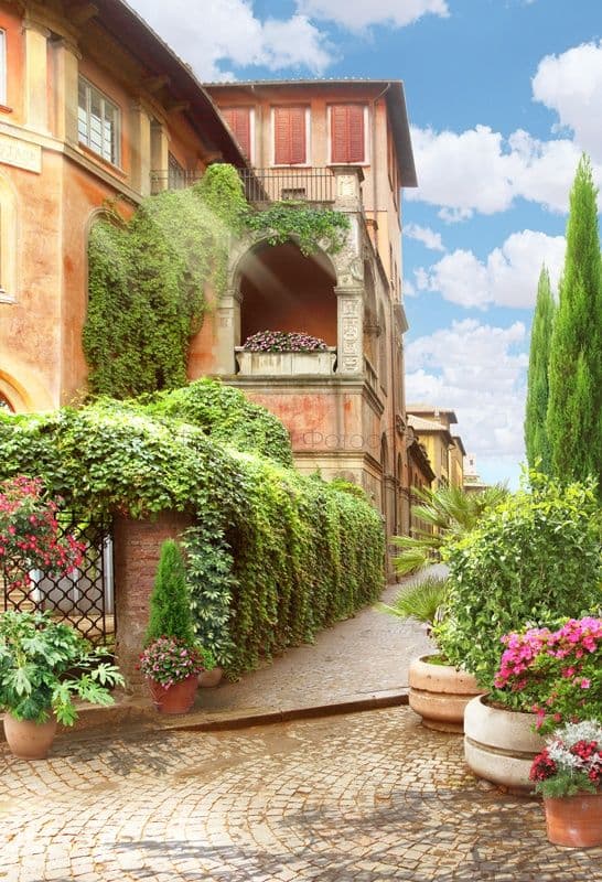 View Of An Italian Street