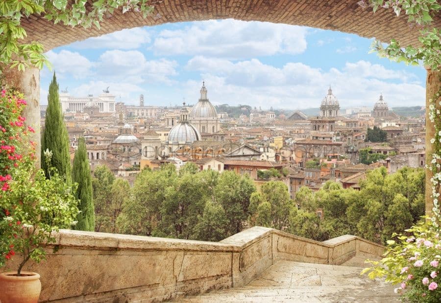 Rome'S Panorama