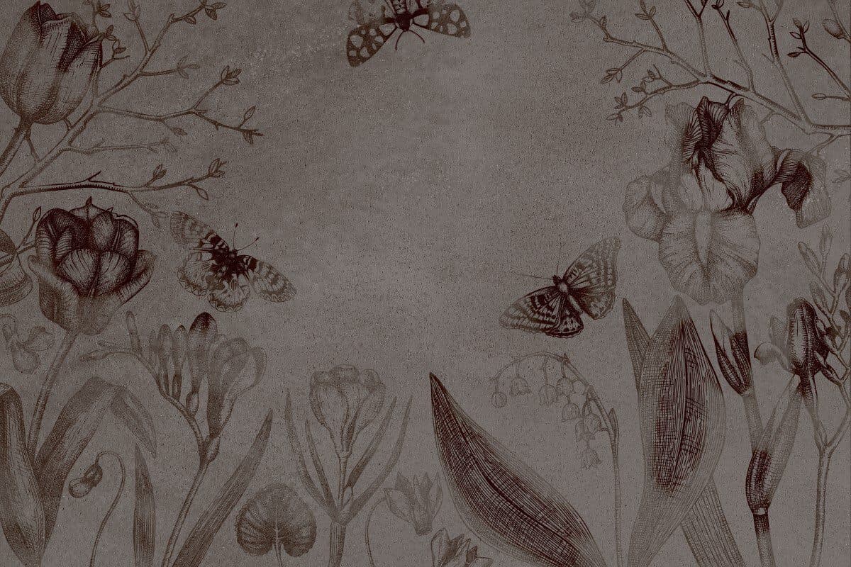Asrin Walls 5301