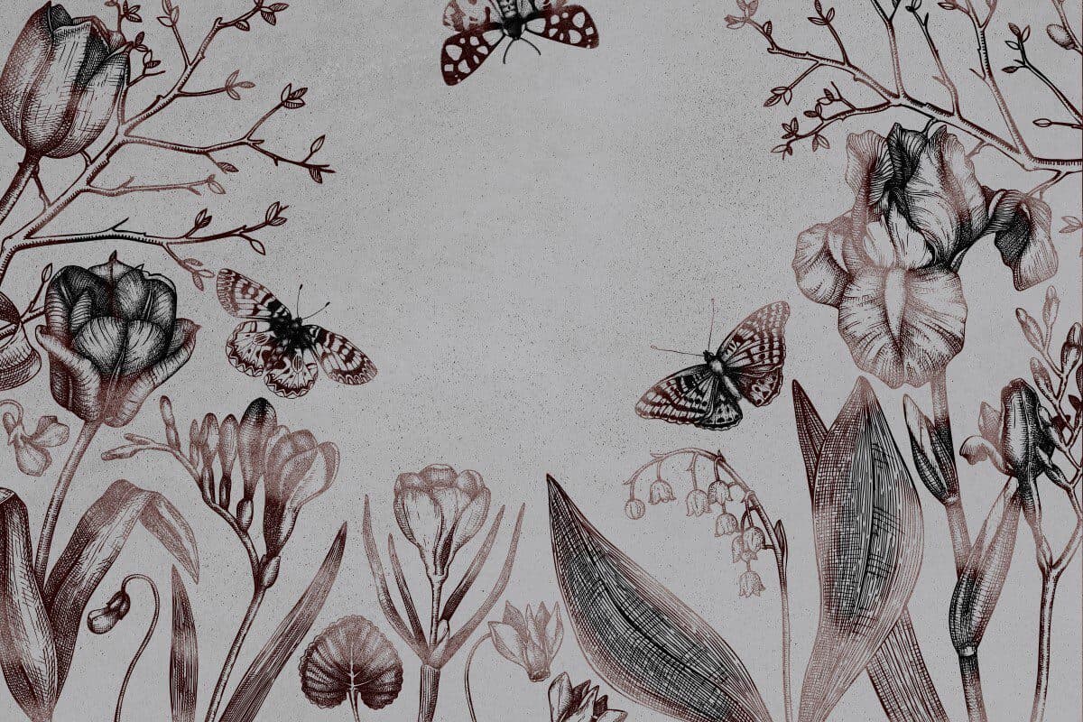 Asrin Walls 5304
