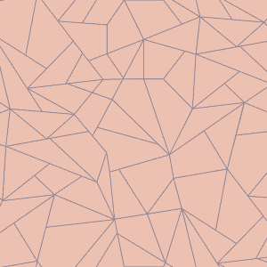 Fractal salmón