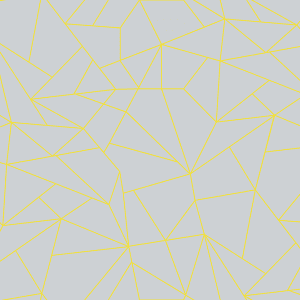 Fractal Piedra