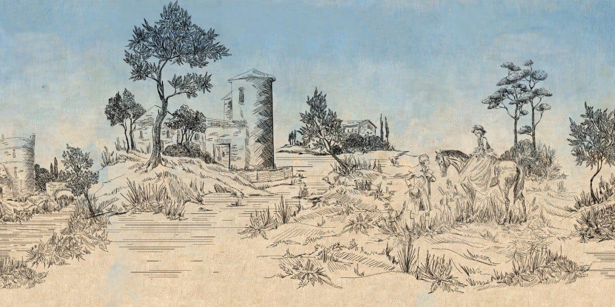 Asrin Walls 81160