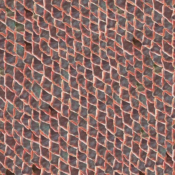Fish Skin – 5800031