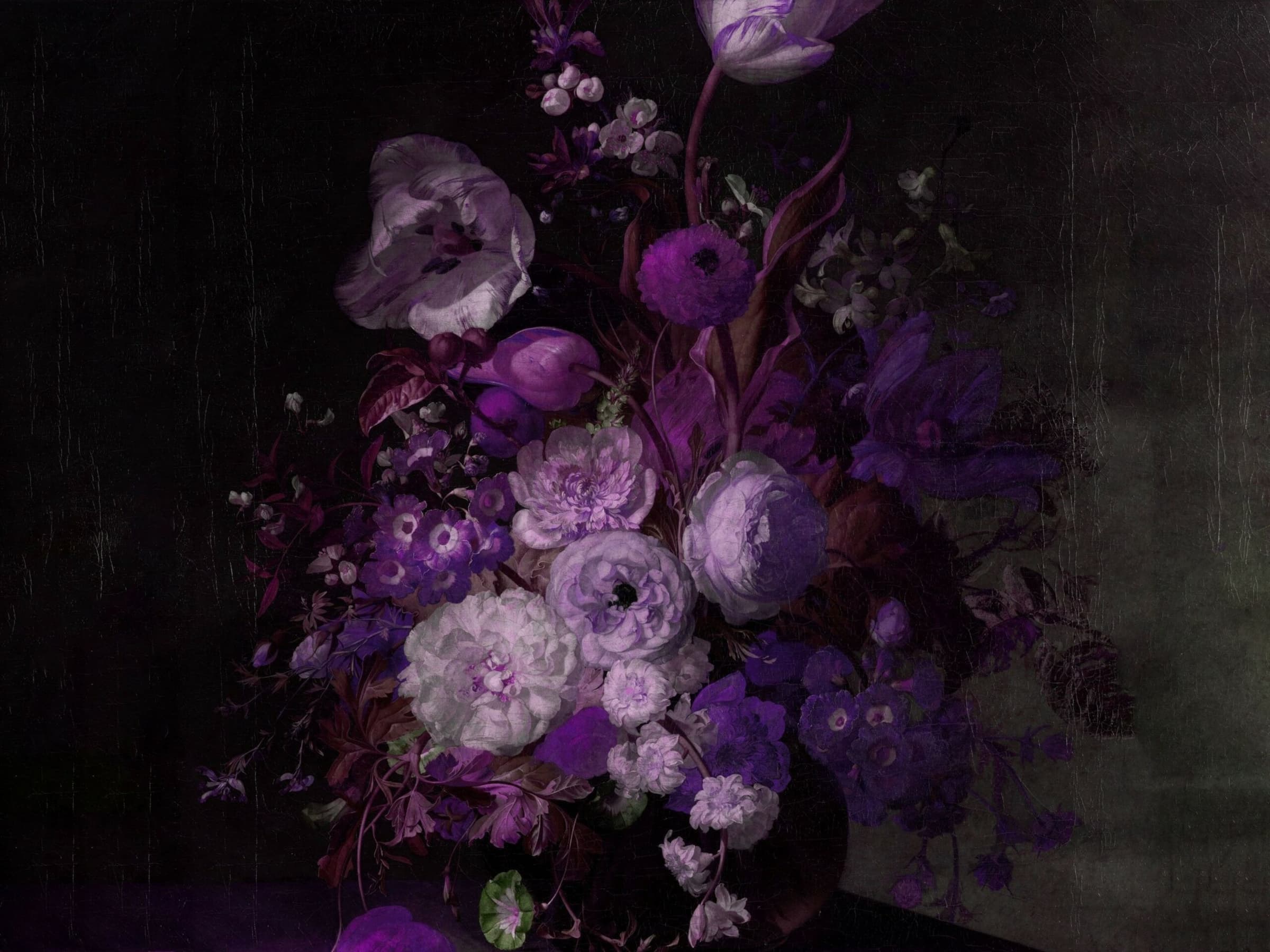 Violet Dream