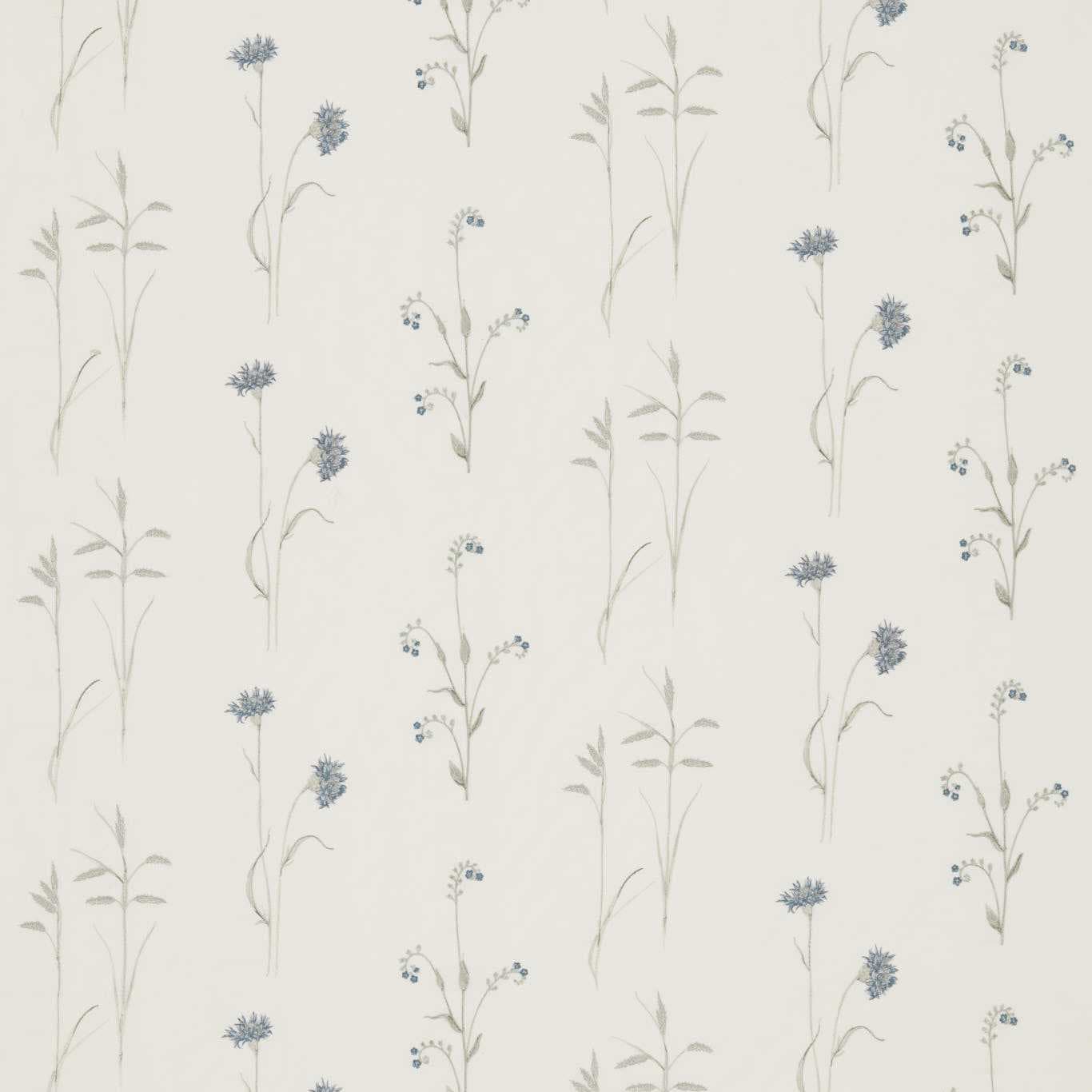 Meadow Grasses