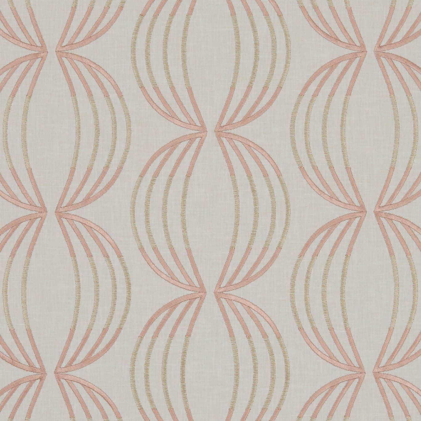 Carraway Rose