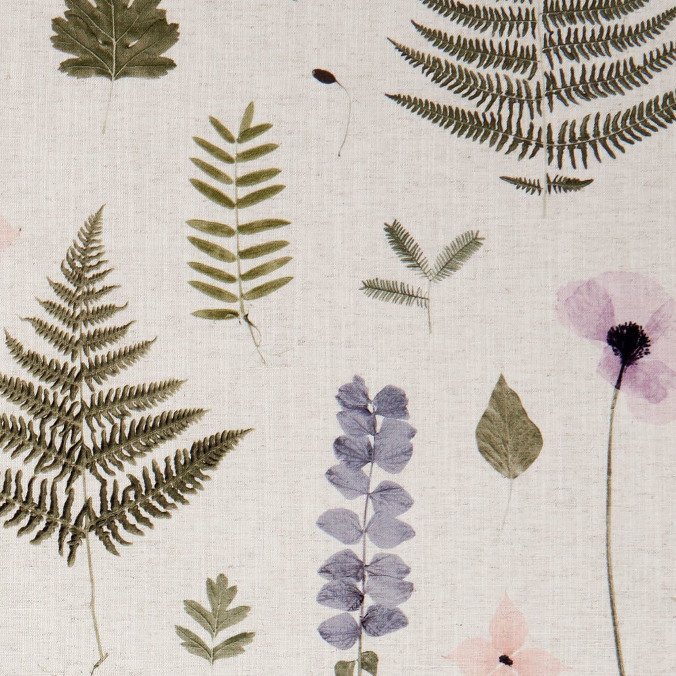 Herbarium