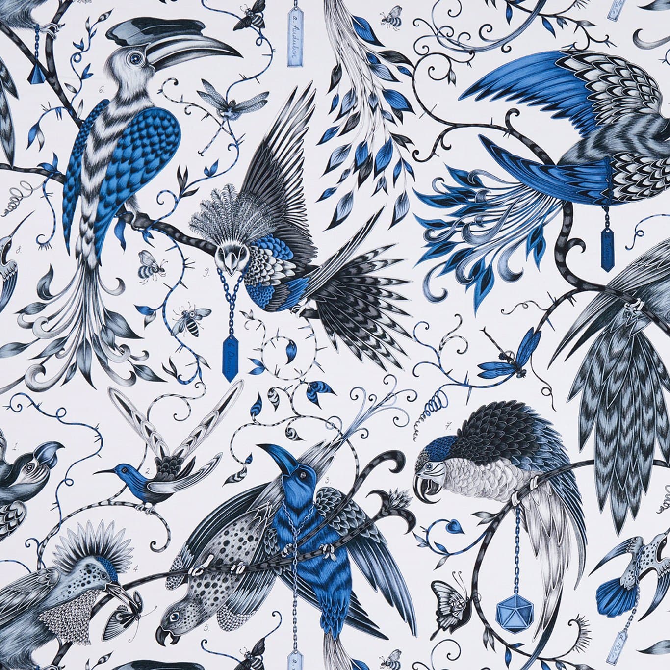 Audubon