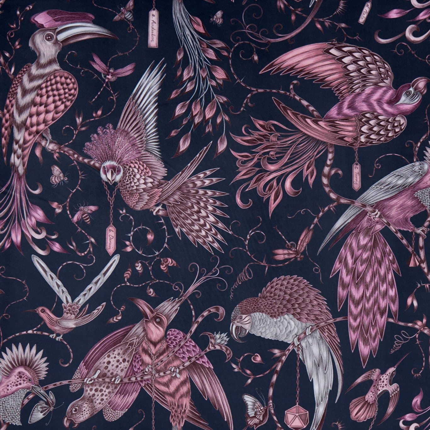 Audubon Velvet