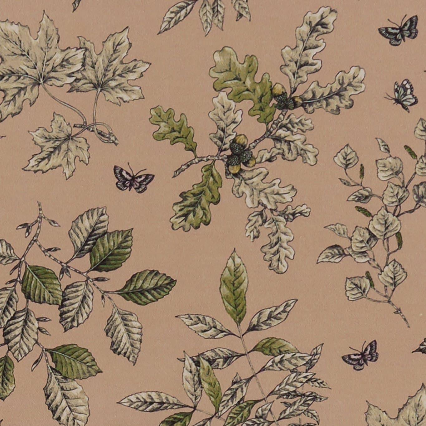 Hortus