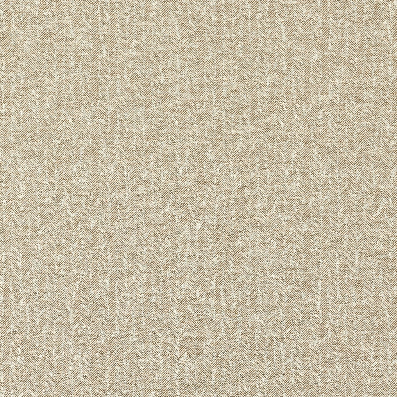 Tierra