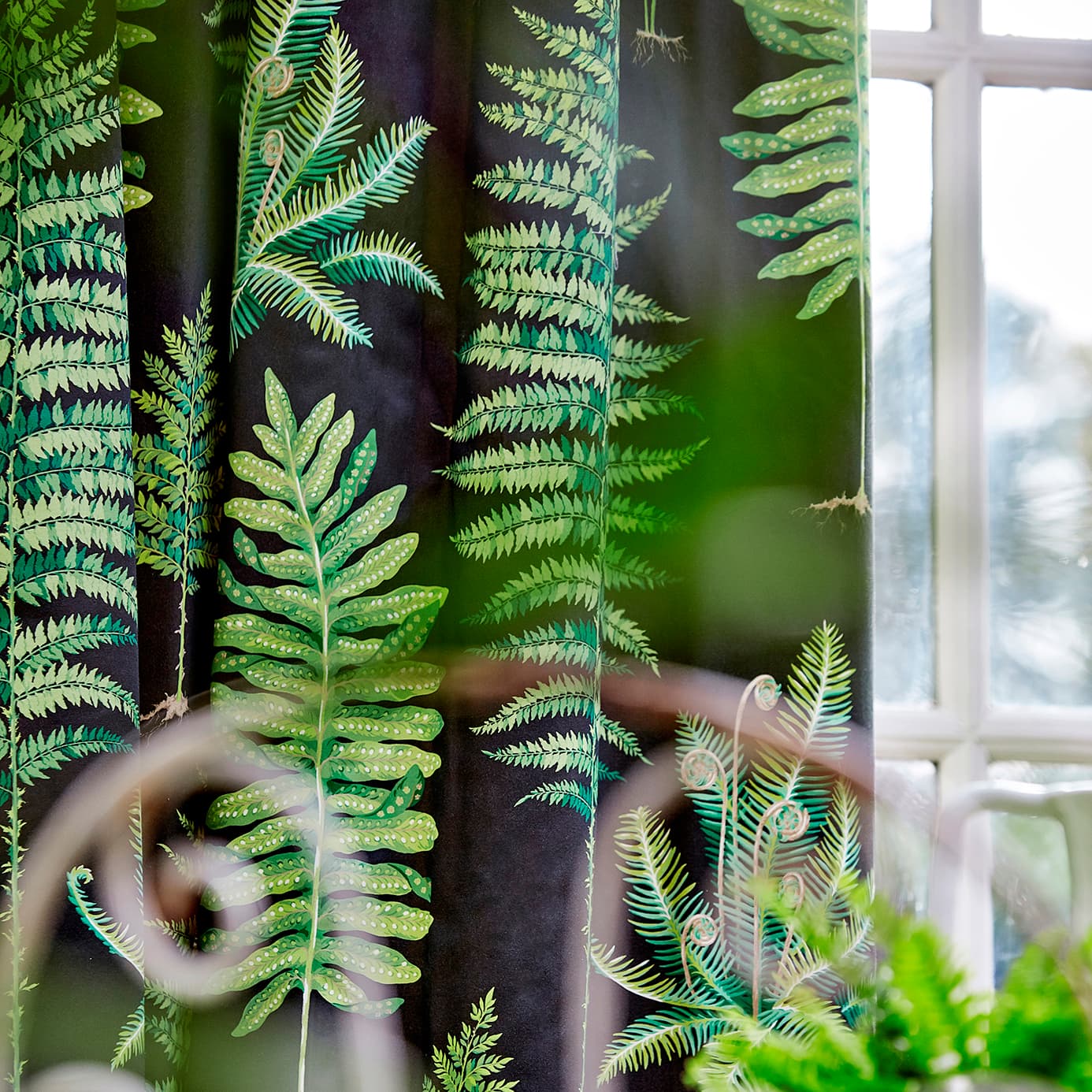 Fernery