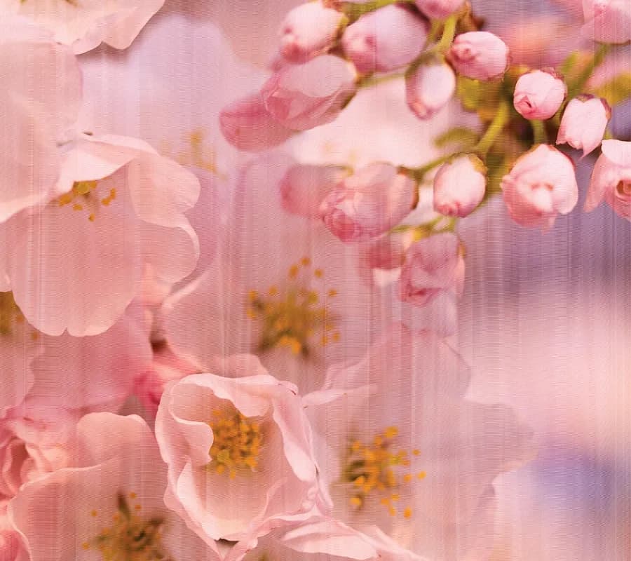 Floral