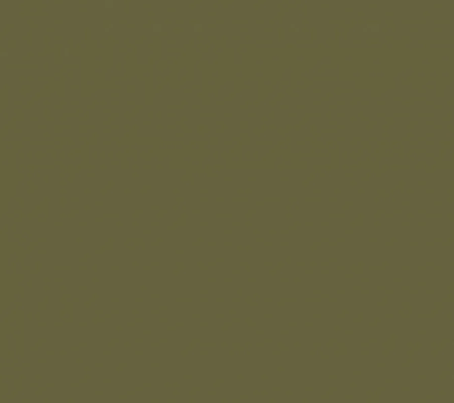 Polynesia Background PLZ7