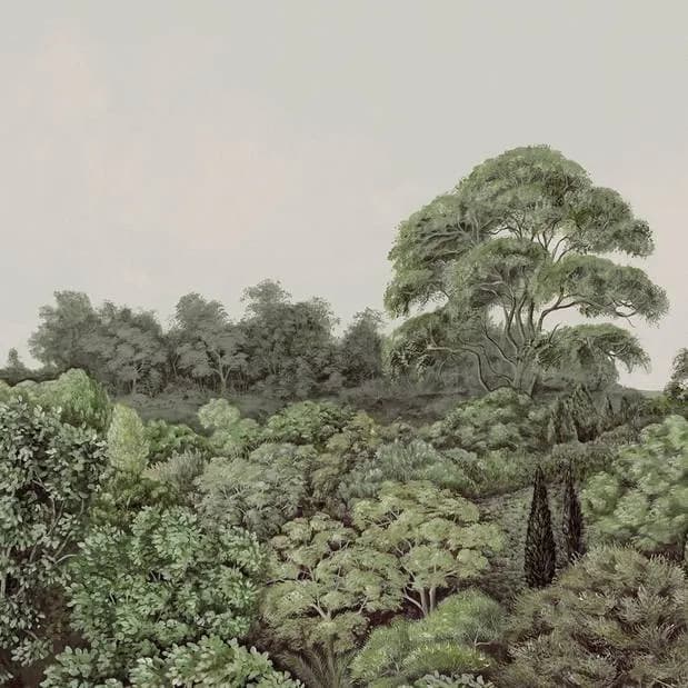 CANOPY 1
