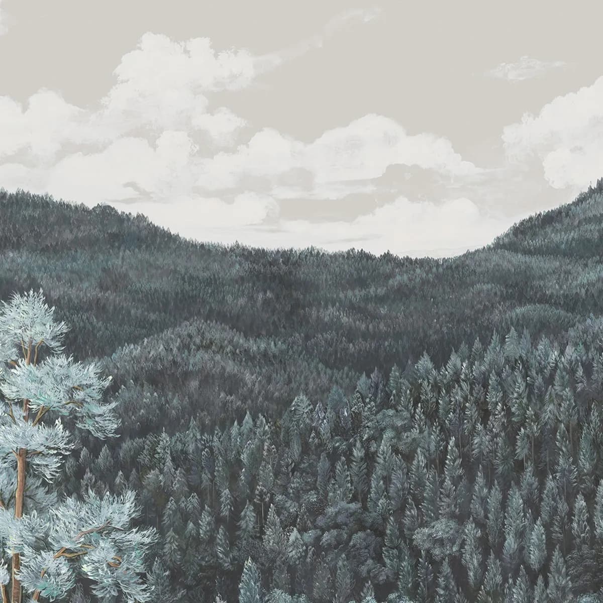 CANOPY 2