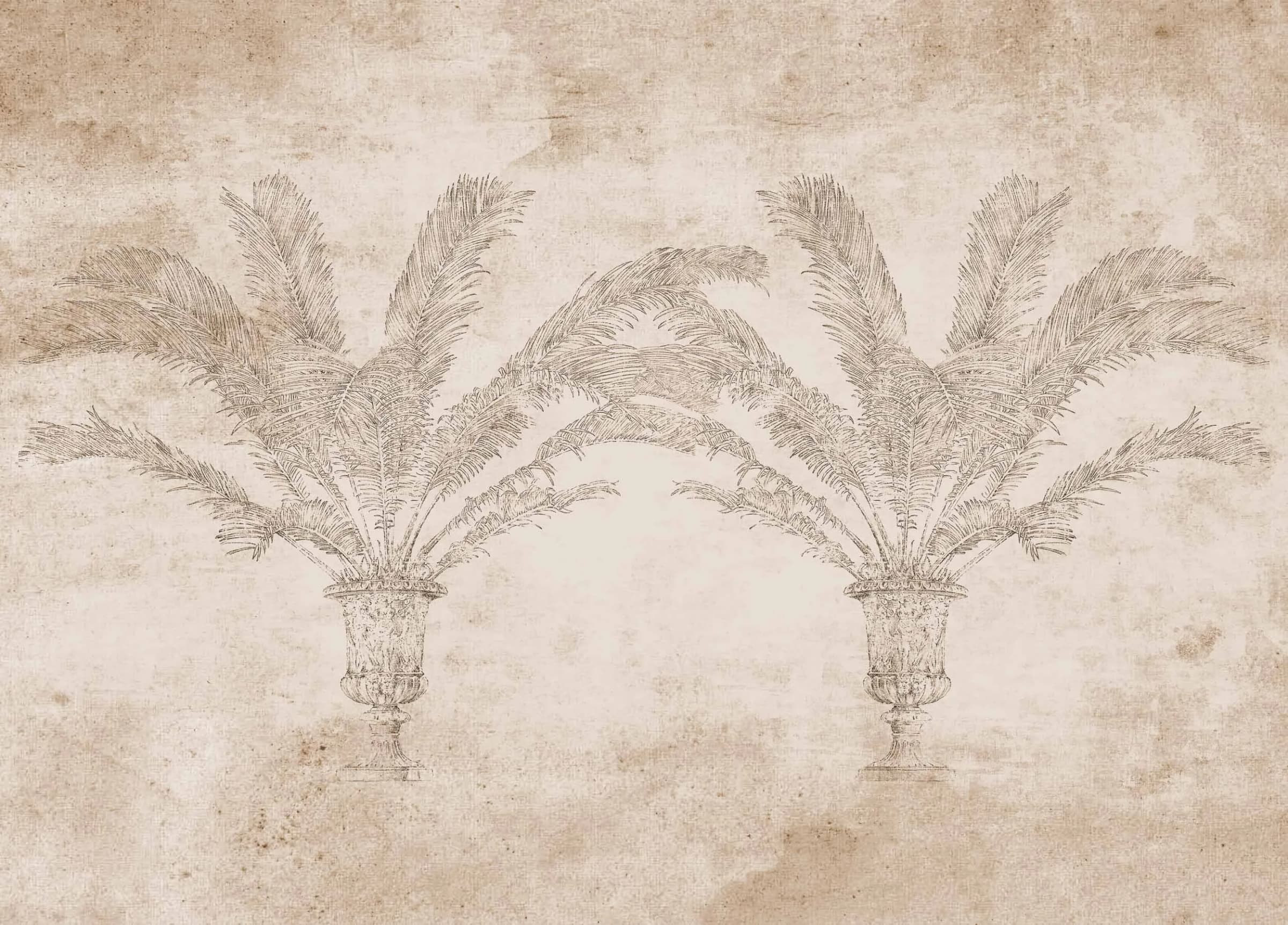 Palma Papyrus