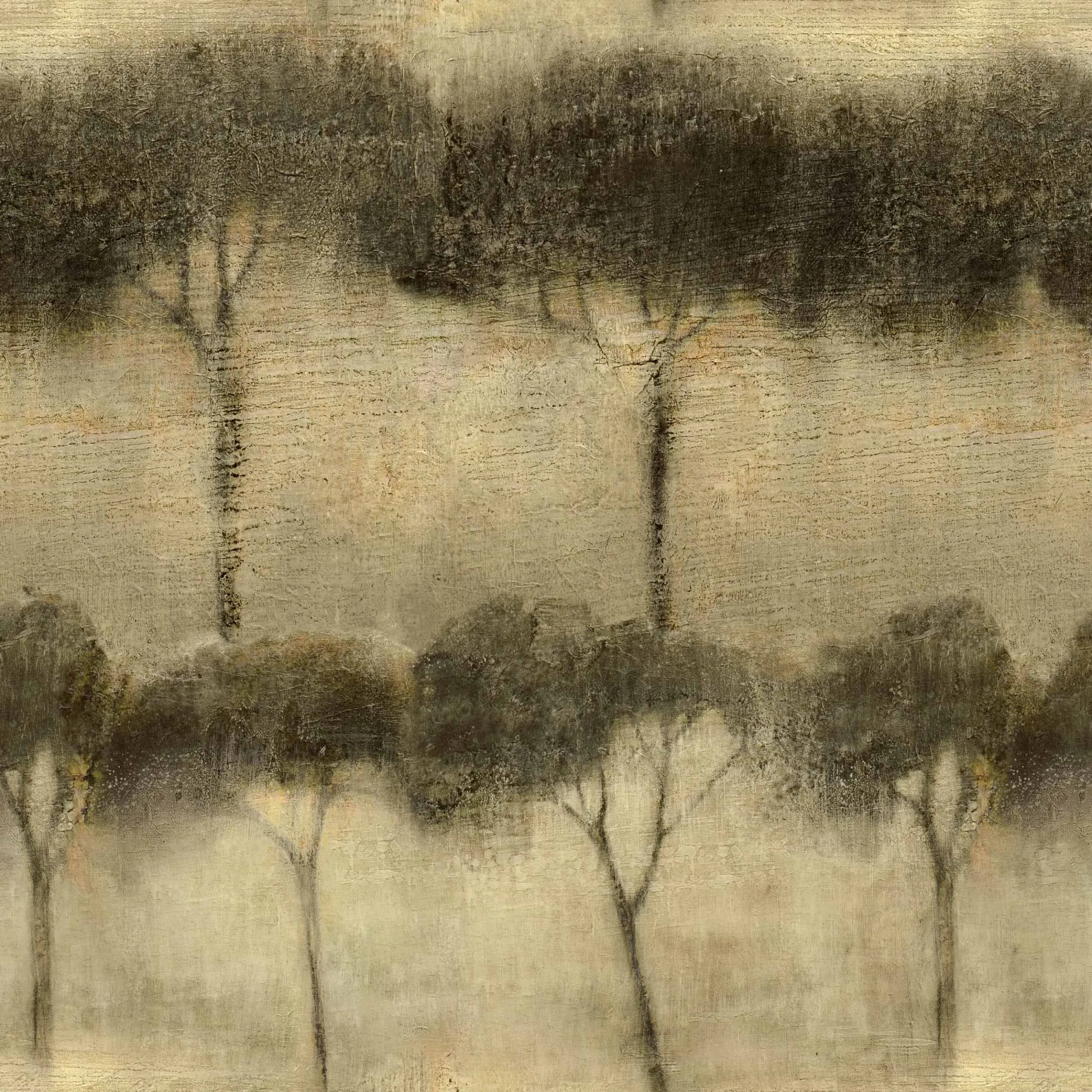 Ourika Trees