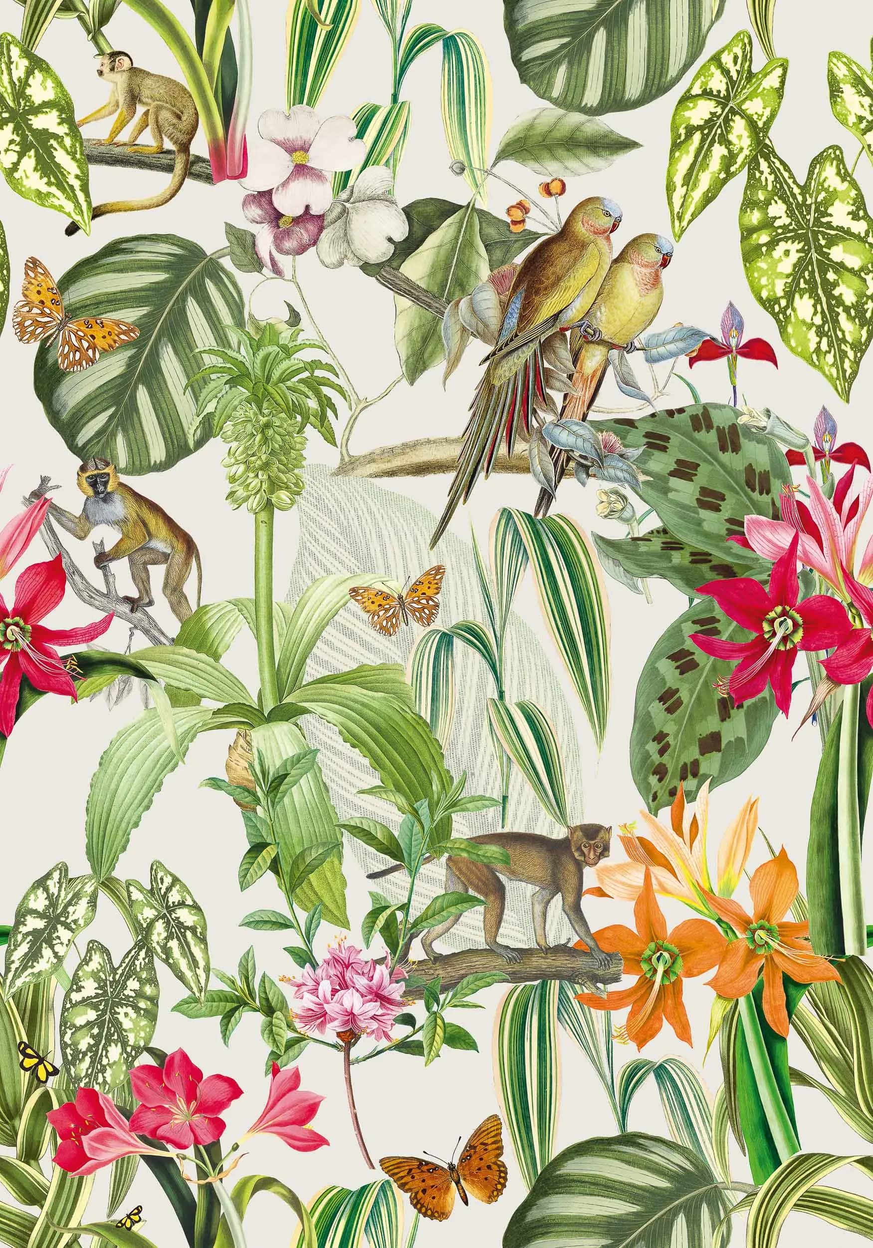 Parrots