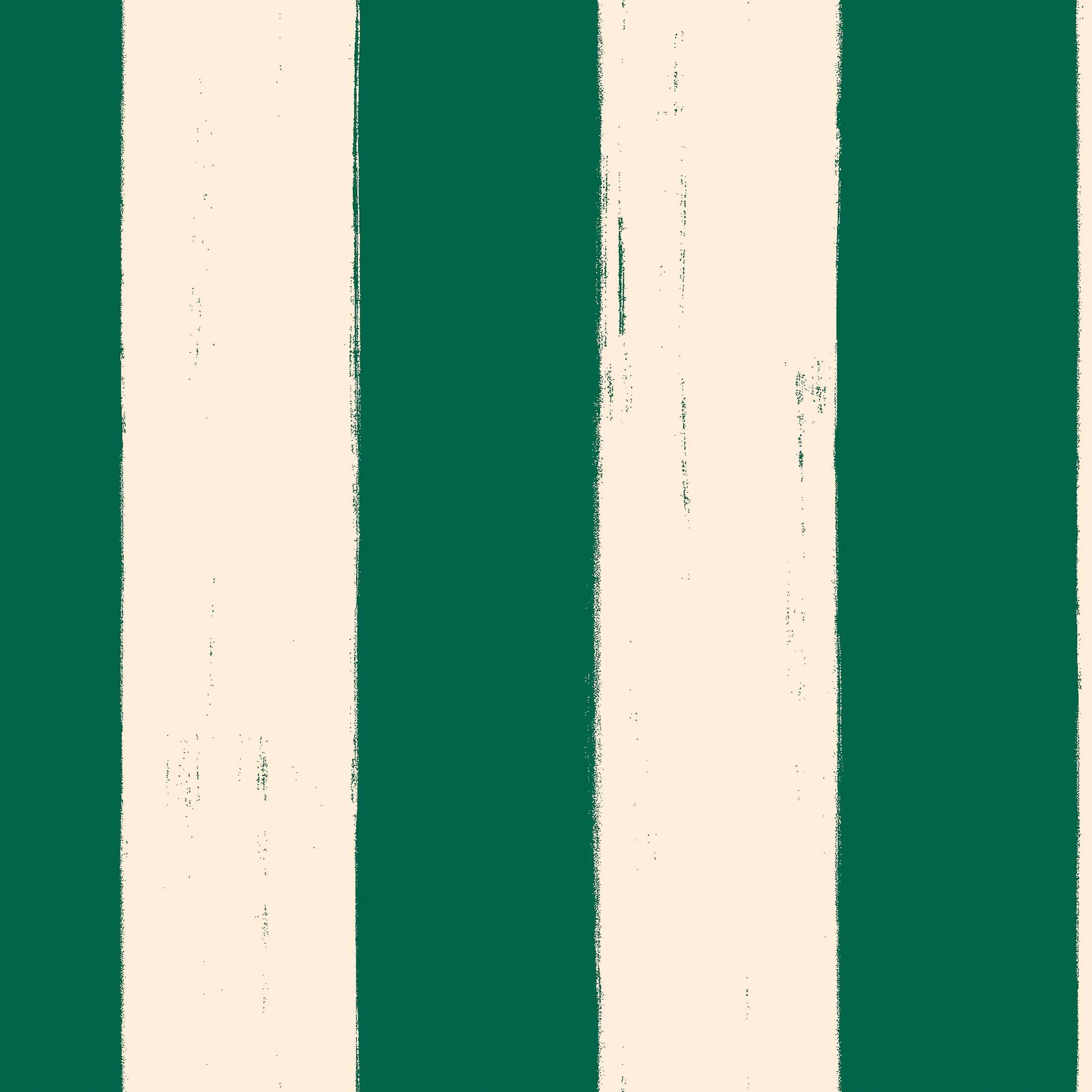 Toldo