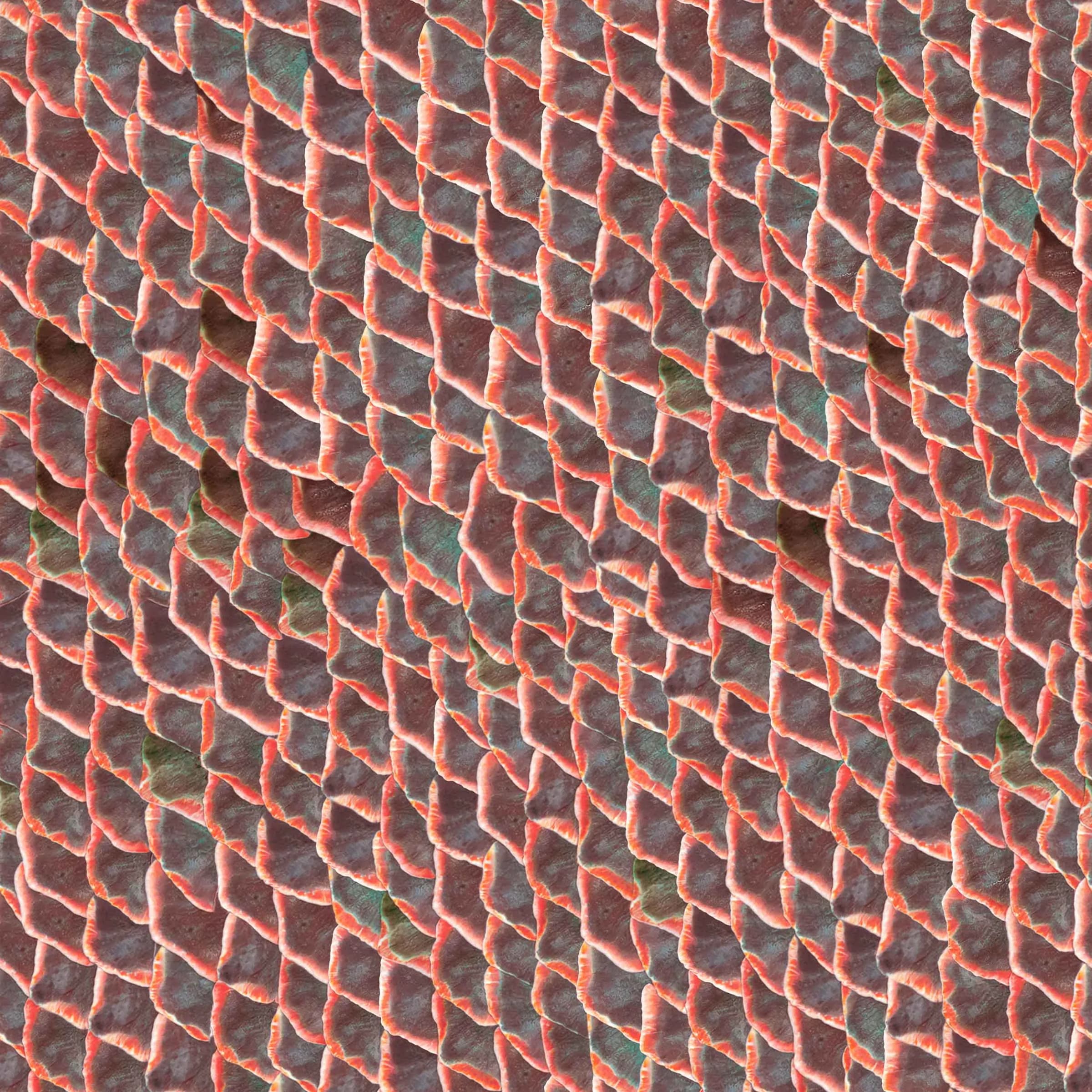 Fish skin