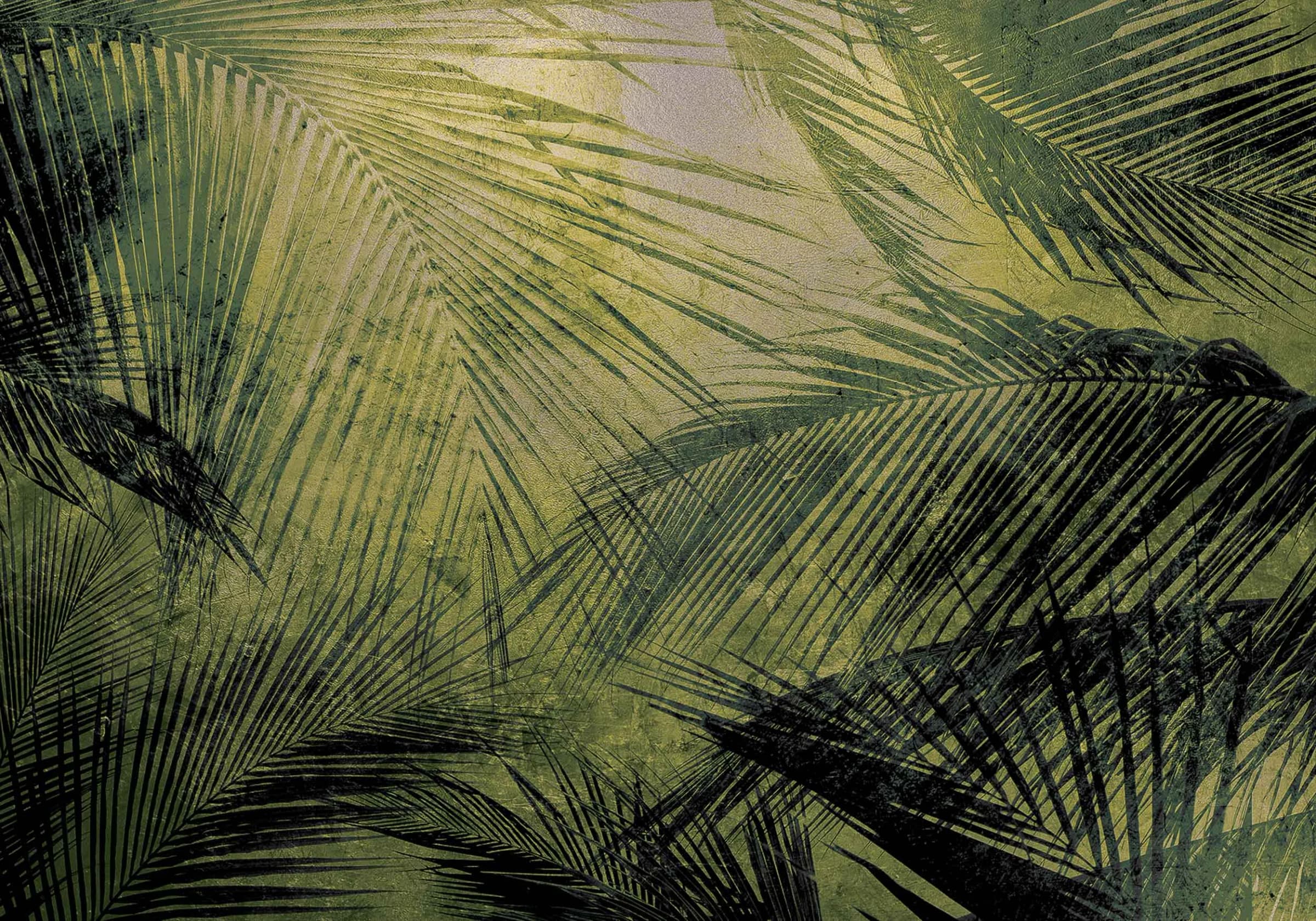 Palms2
