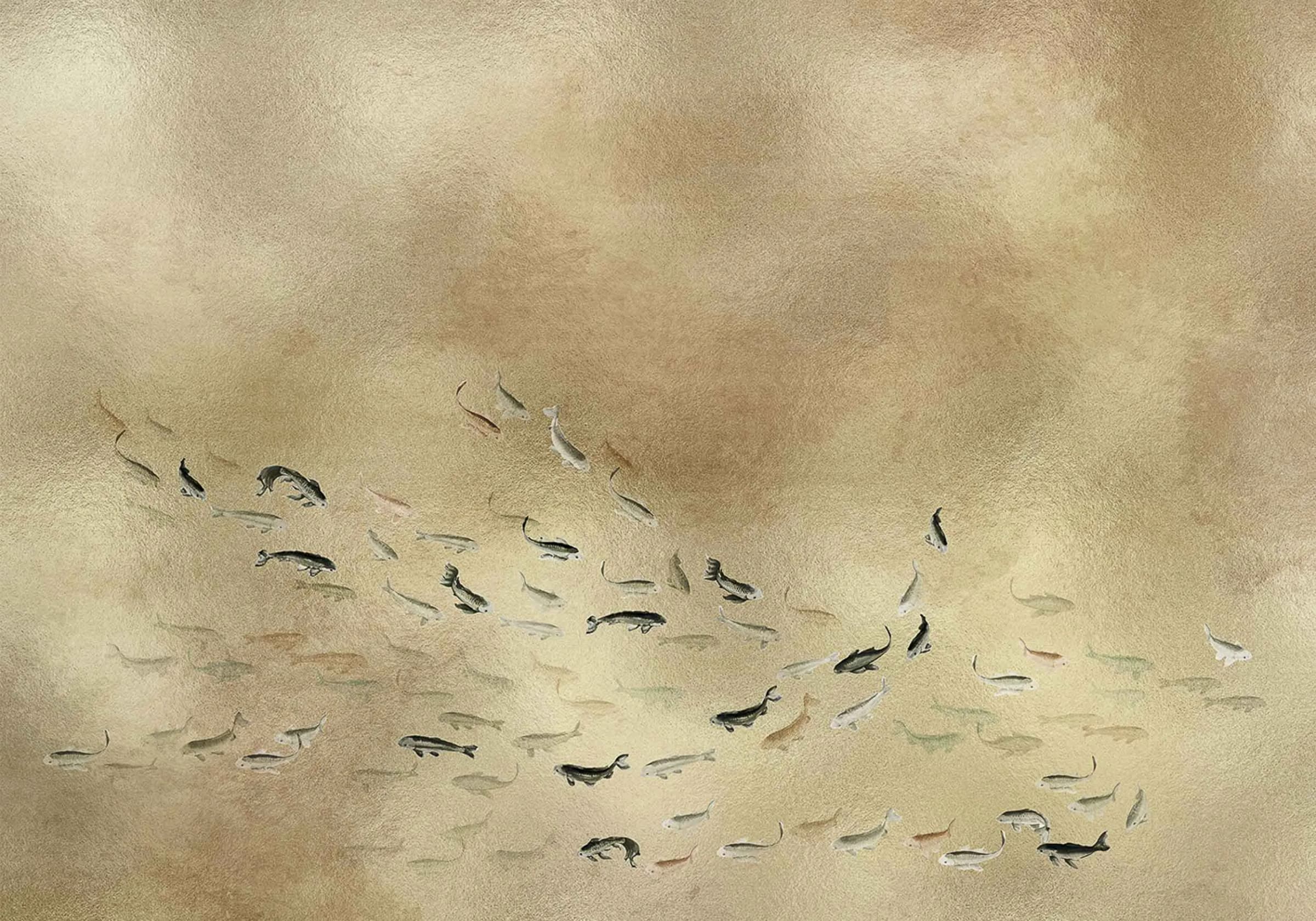 Koi