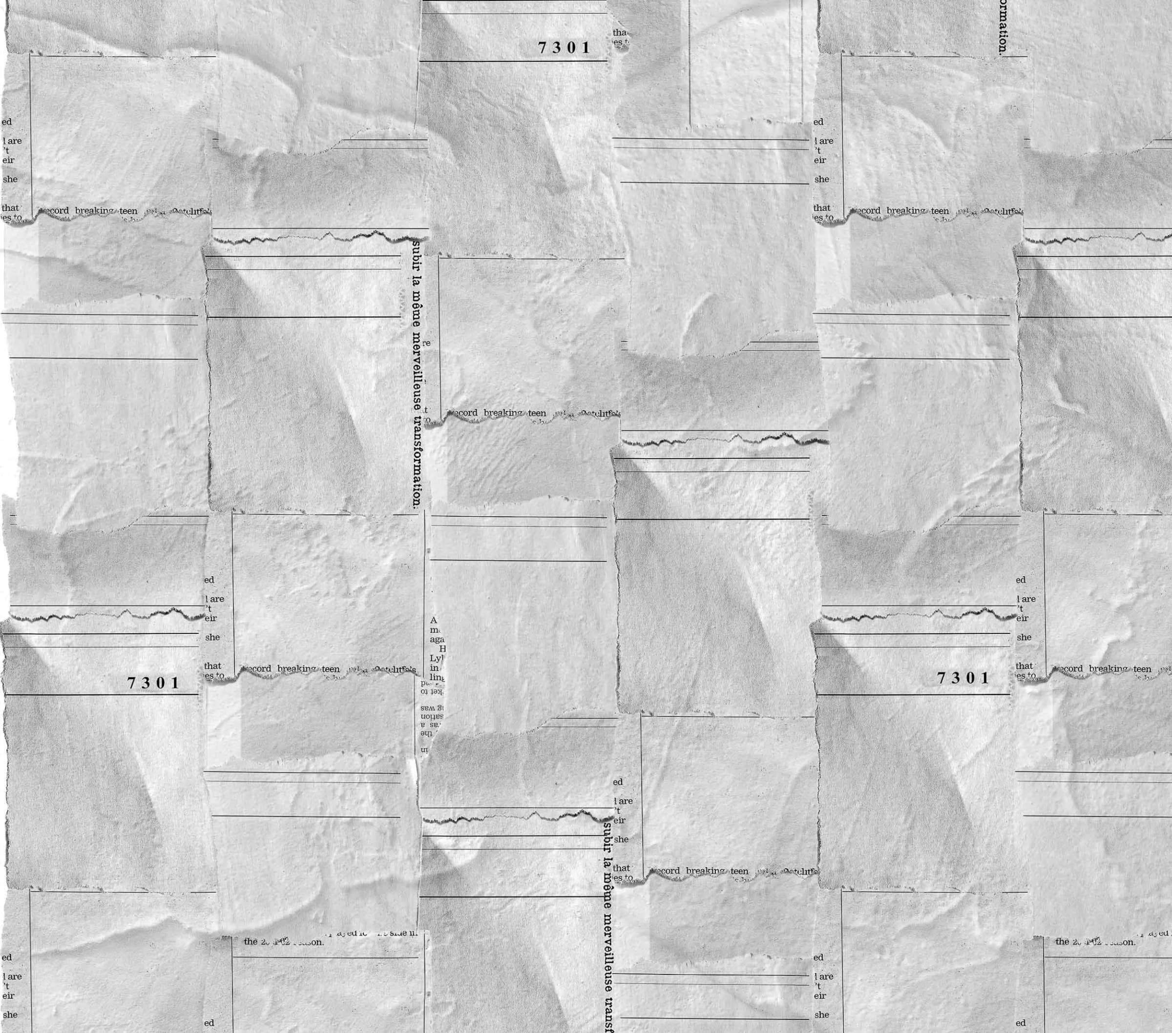 Newspaper pieces