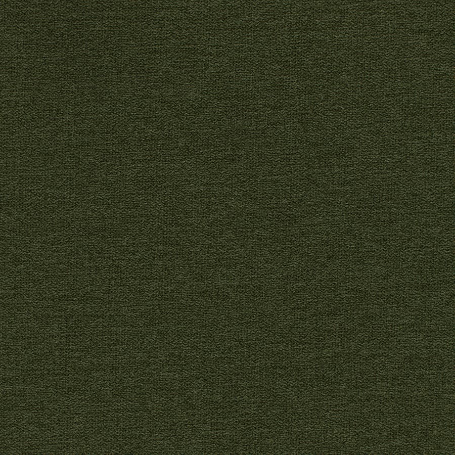 Thicket