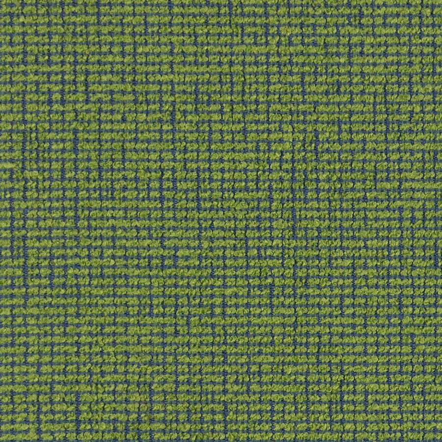 Gecko