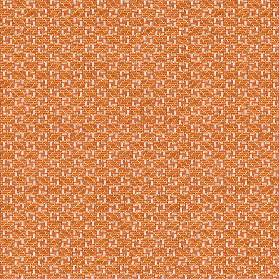 Starfish