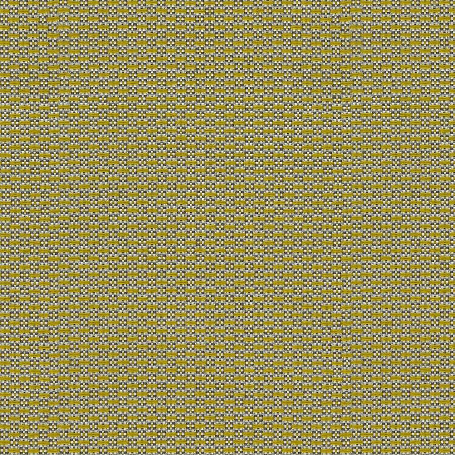 Seaweed