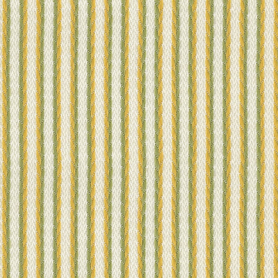 Citrus