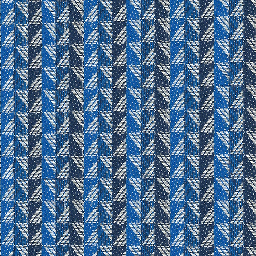 Blue Jay