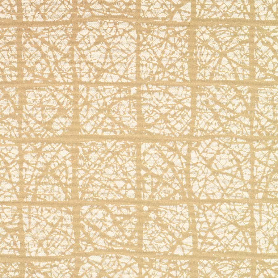 Parchment