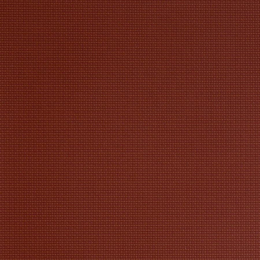 Barberry