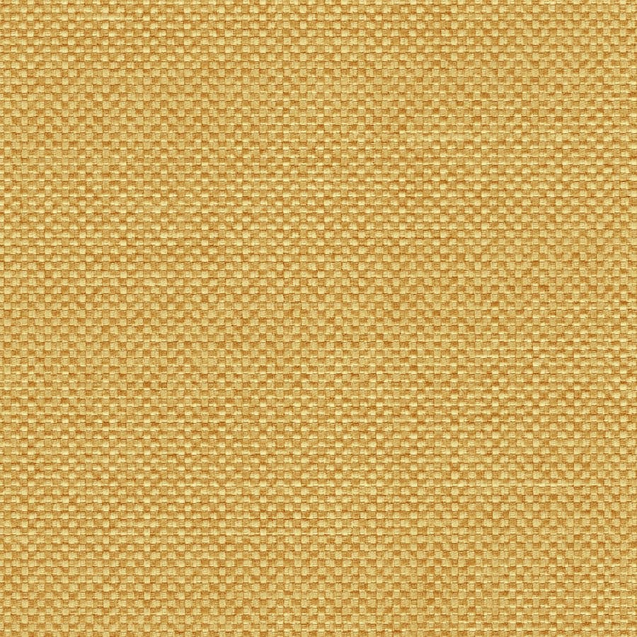 Goldenrod