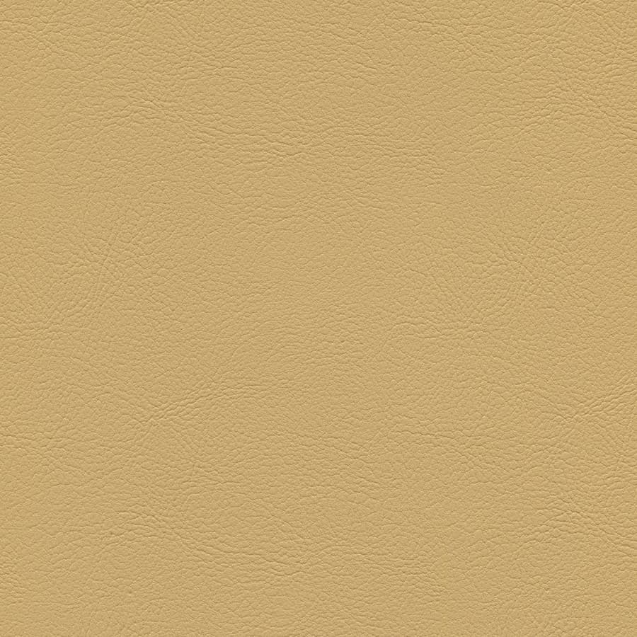 Champagne