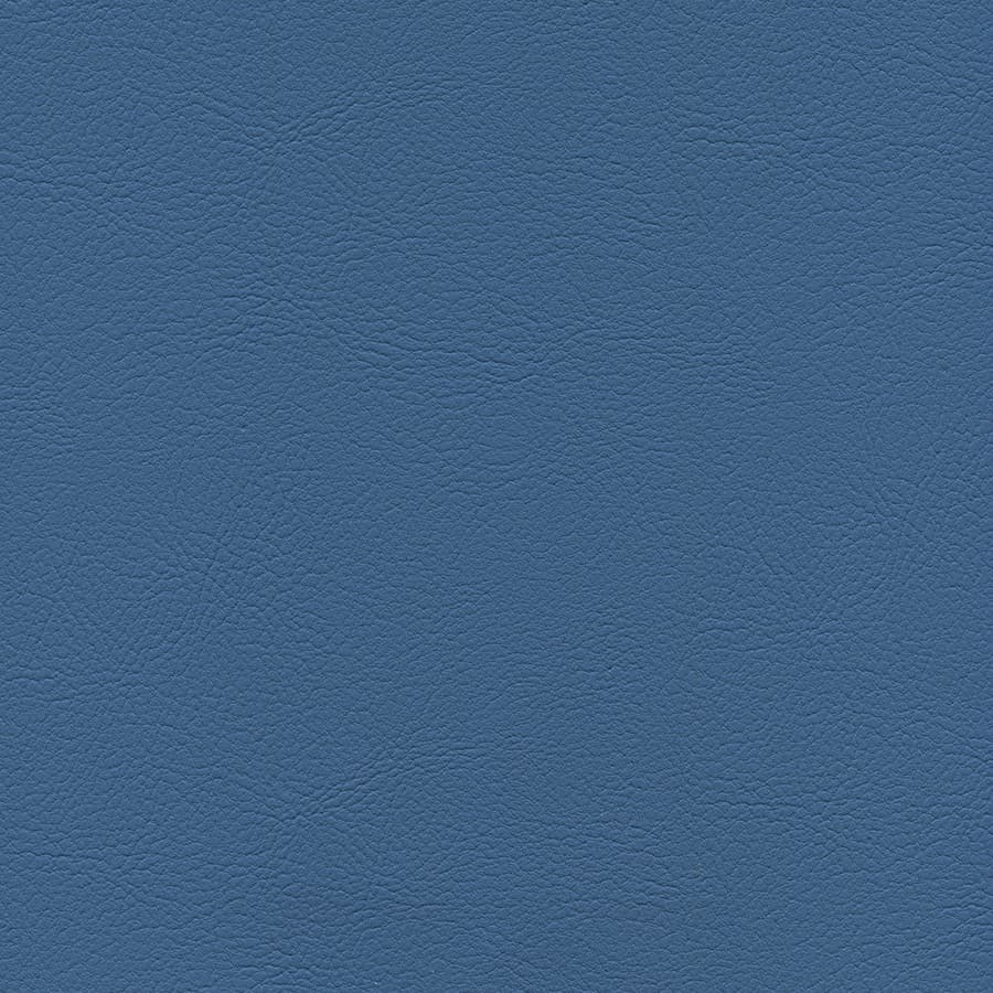 Bluebird