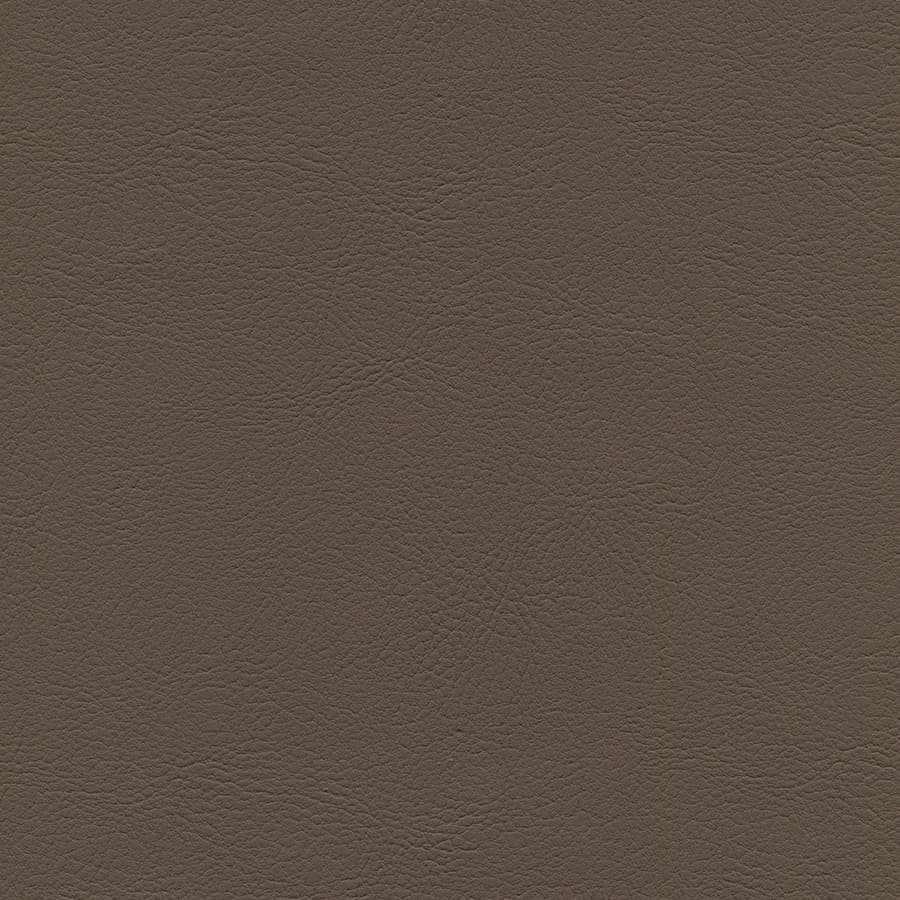 Cocoa