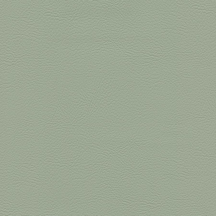 Seagrass